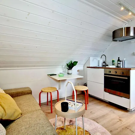 Cozy Loft With King Bed In The Middle Of Town Tatil Evi Bergen