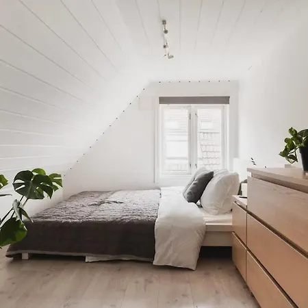 Cozy Loft With King Bed In The Middle Of Town Tatil Evi